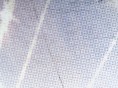 SN37735