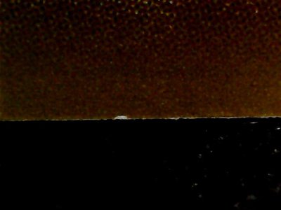 SN37833