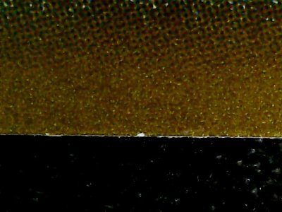 SN37798