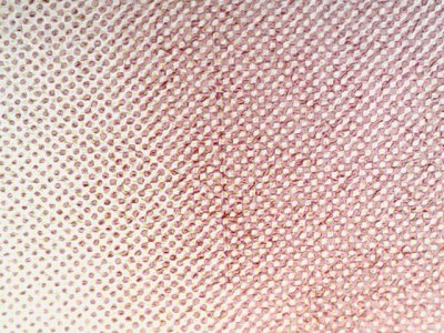 SN37798