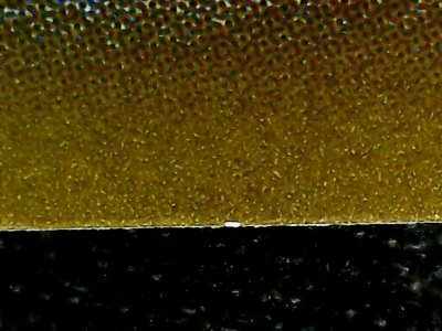 SN37800