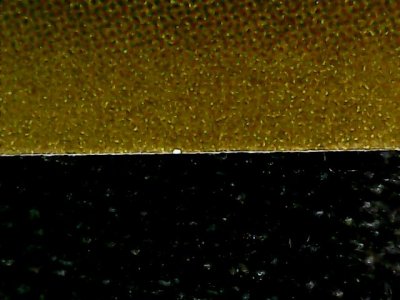 SN37800