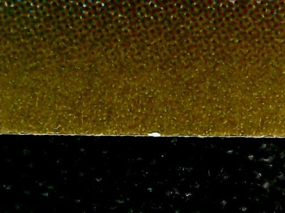 SN37801