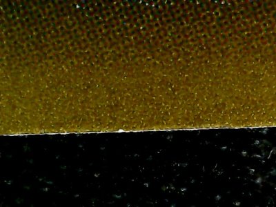 SN37801