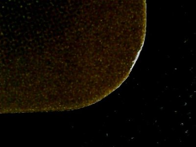 SN37802