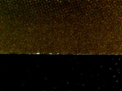 SN37803