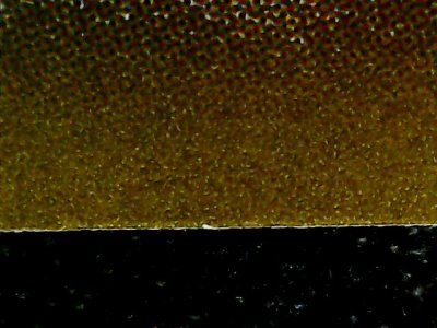 SN37803