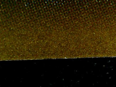 SN37803