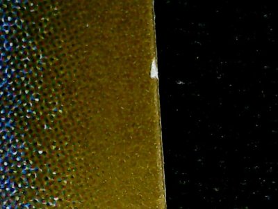 SN37807