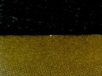 SN37808