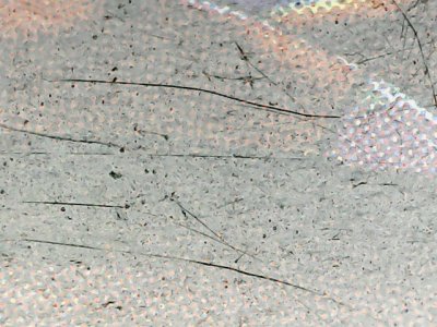 SN37810