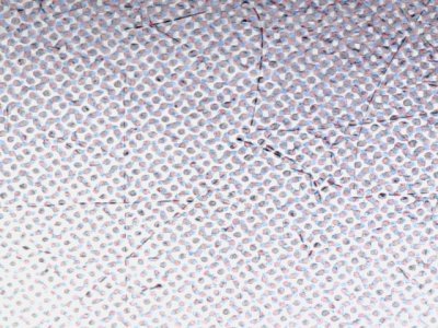SN37810