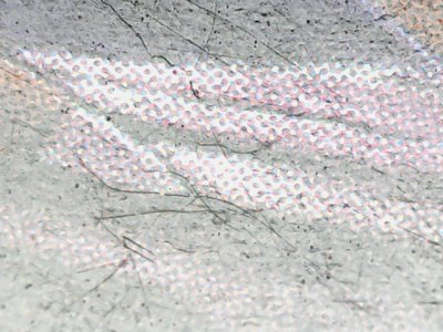SN37810