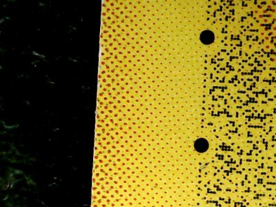 SN37810