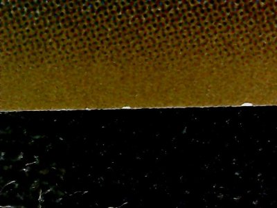 SN37815