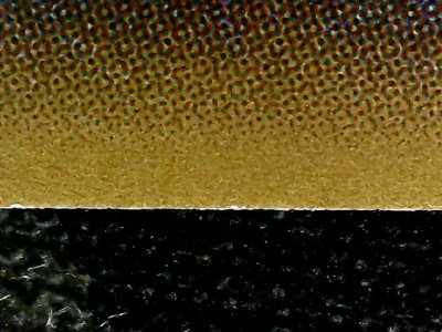 SN37815