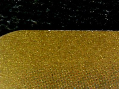 SN37817