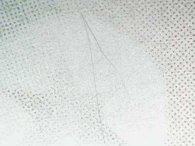 SN37817