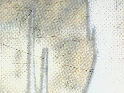 SN37818