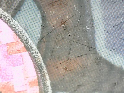 SN37818