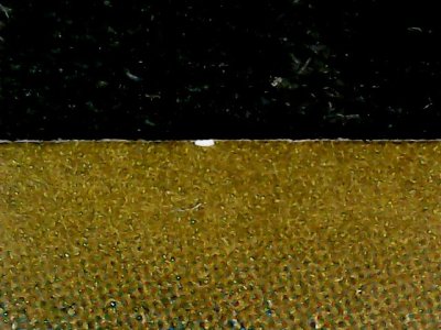 SN37832