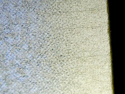 SN37819