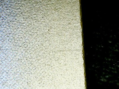 SN37819