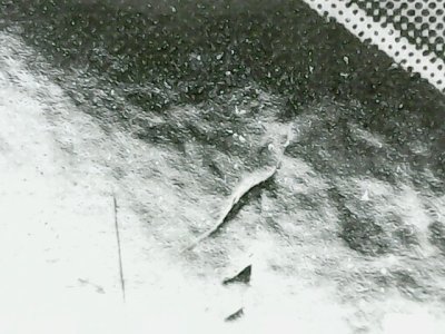 SN37820