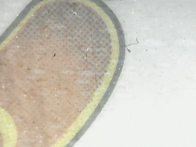 SN37820