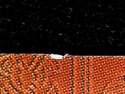 SN37823