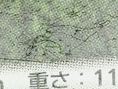 SN37884