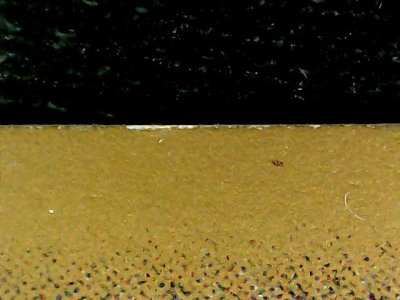 SN37884