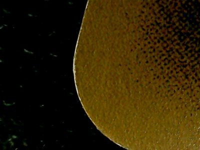 SN37884