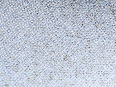 SN37886