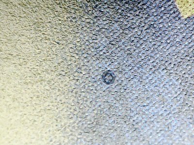 SN37886