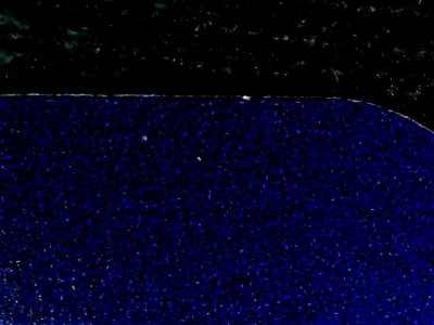 SN37891