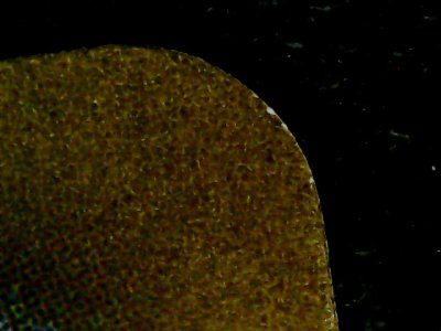 SN37898