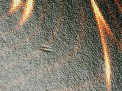 SN30755