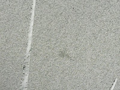 SN37668