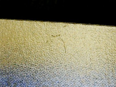 SN37687