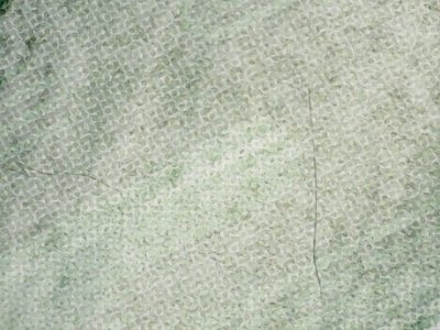 SN37736
