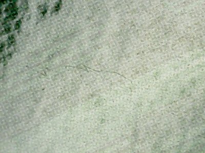 SN37736