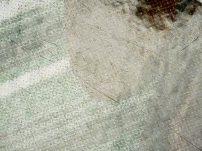 SN37736