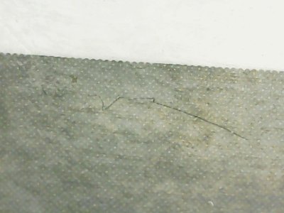 SN37736