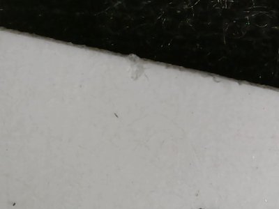 SN37780