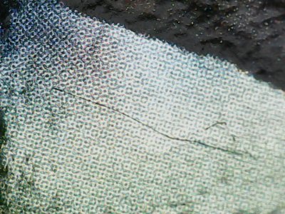 SN37781