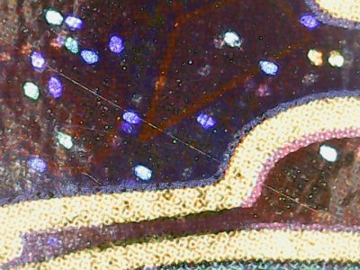 SN37764