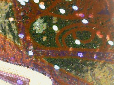 SN37764