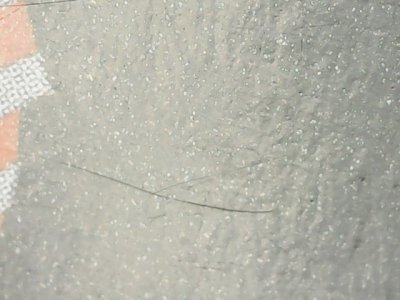 SN37791