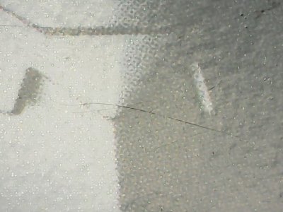 SN37791